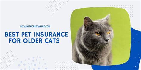 Compare Pet Insurance For Older Cats .